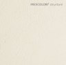 frescoloristructure2.jpg - 